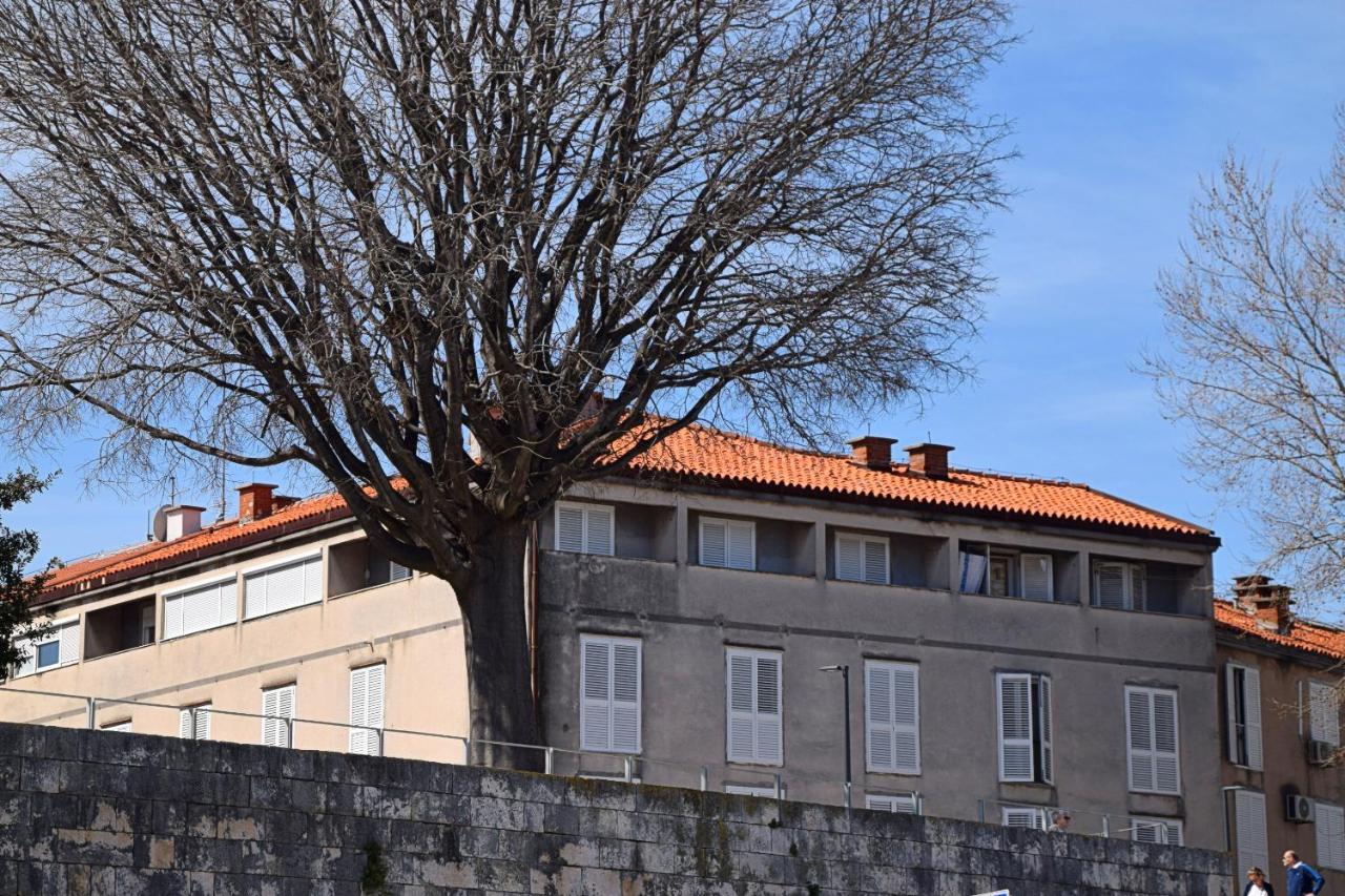 Apartment Corner Zadar Extérieur photo